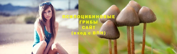 mdma Корсаков